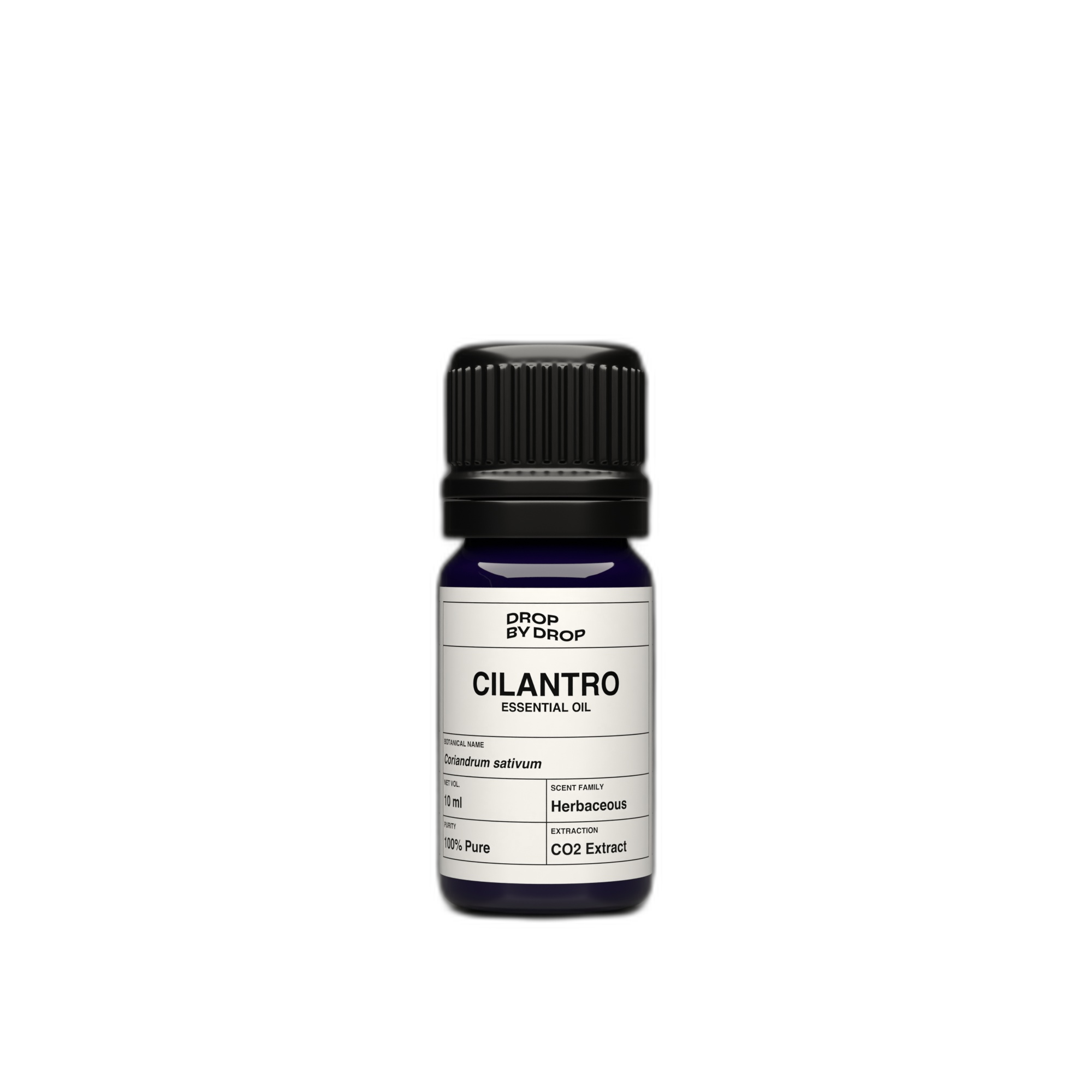 Cilantro Essential Oil