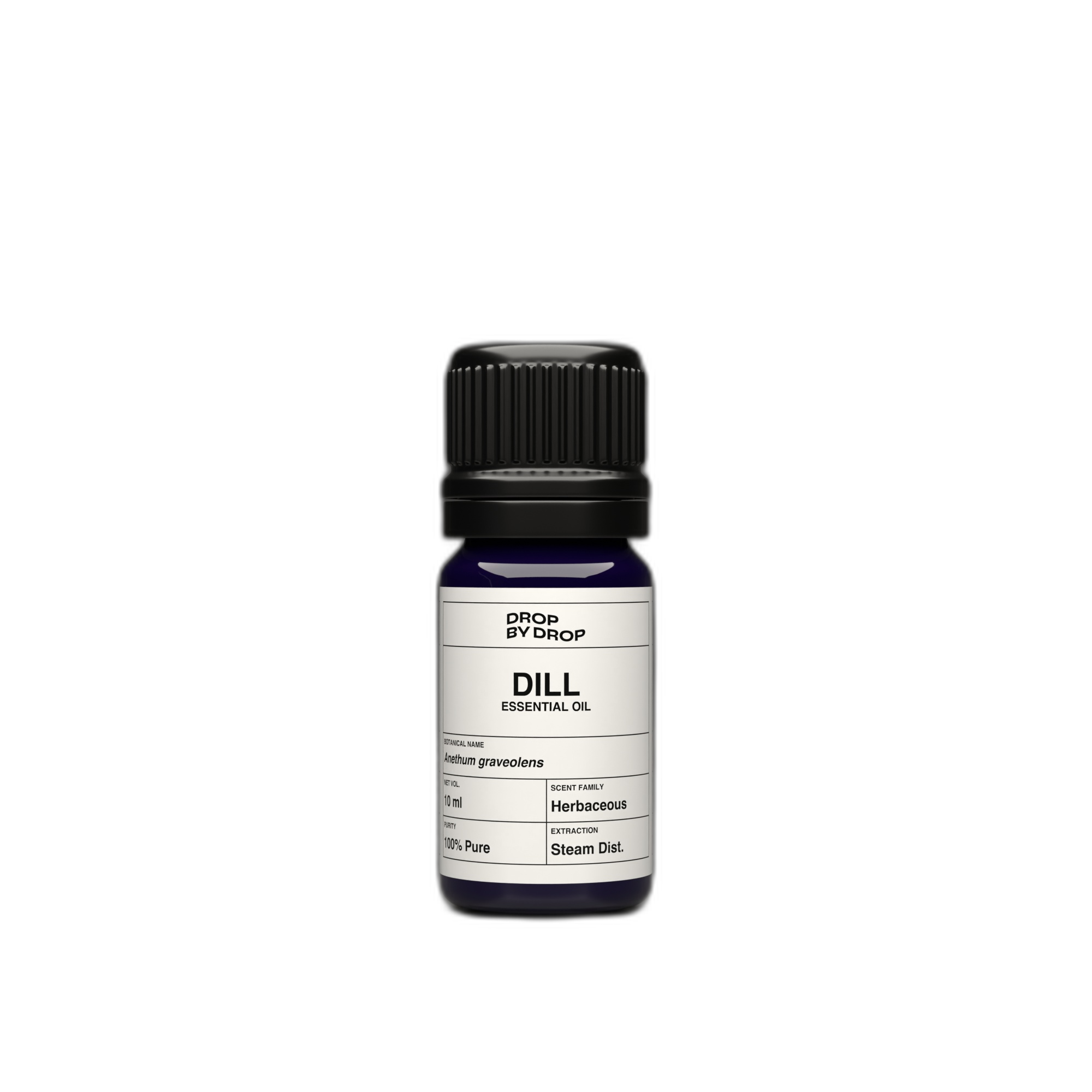 Dill Essential Oil