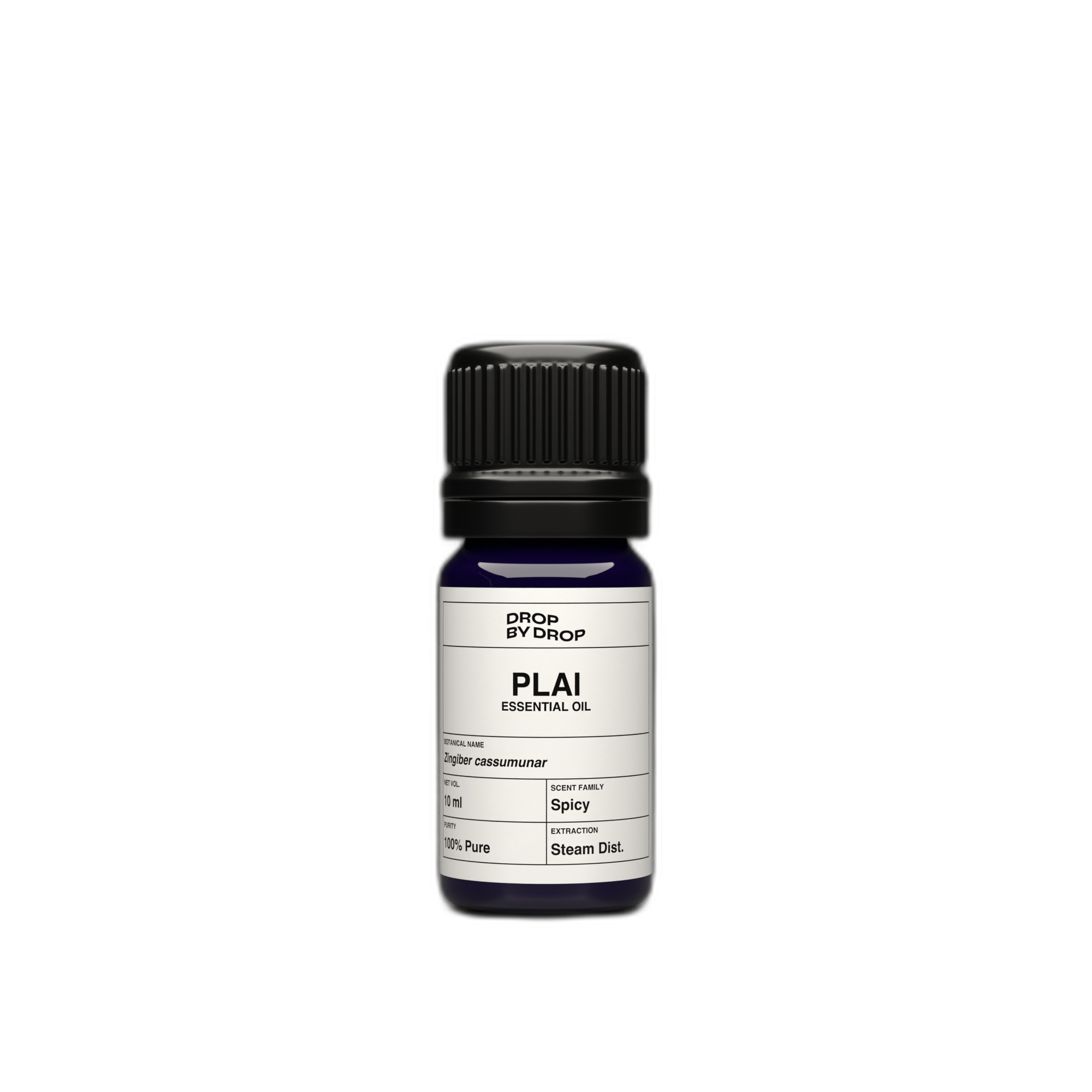 Plai Essential Oil